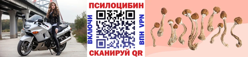 Галлюциногенные грибы GOLDEN TEACHER  ссылка на мегу   Мензелинск 