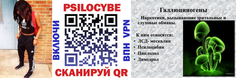 Псилоцибиновые грибы Psilocybe Мензелинск